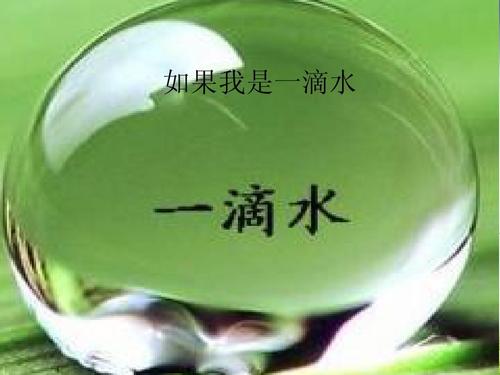 我是一滴水_900字