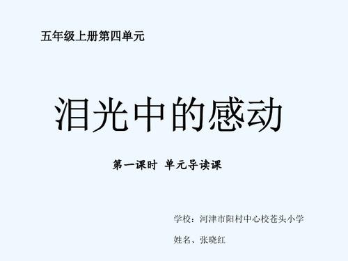 眼泪_800字