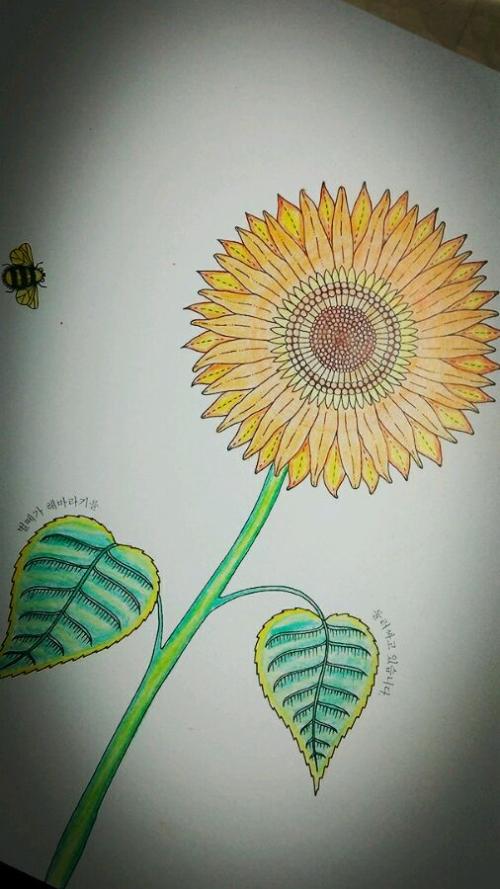 蜜蜂_450字之谜