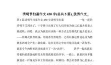 有趣的秋游_450字