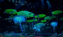 读《爱丽丝梦游仙境》有感_500字