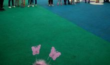 我和蝴蝶有个约会_1000字