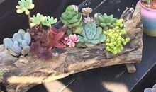 一次愉快的秋游_500字