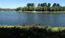 秋游湿地公园_650字