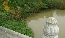 名人故事：一种霉素两次发现三人获奖_1500字