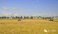 1月征文：回眸昨天，展望明天_750字