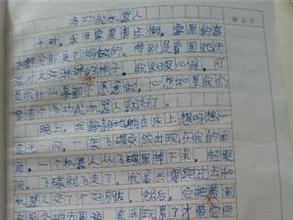 我喜欢阅读_600字