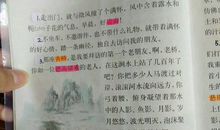 读《山中访友》有感_500字