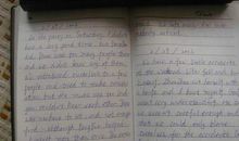 五年级日记：暑假里的一件事_350字