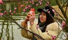 青山公园赏梅记_500字