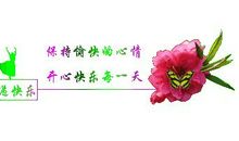 是我让美梦飞走的_200字