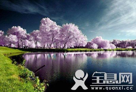 风景名胜段：雪域风貌段_1200字