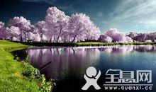 景色优美段落：下雪的景色段落_1200字