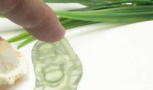 秉性的化身_400字