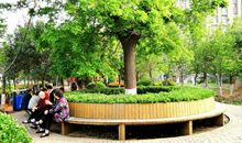 幸福之花 开在感恩枝头_1000字