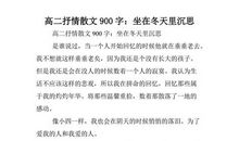 坐在冬天里沉思_900字