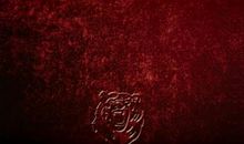 捍卫汉语_1000字