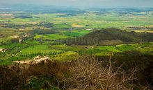 [寒假PK赛]温暖_800字