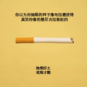 戒烟的组成：一封给爸爸的信_300字