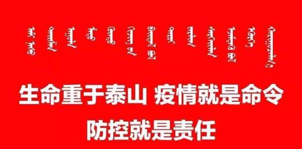 高级两首诗：抗击流行病6_1000字