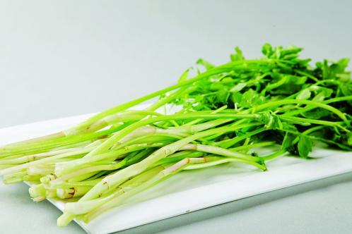 我同学“芹菜” _700字