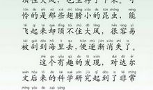 [2016期末征文]有趣的发现_400字