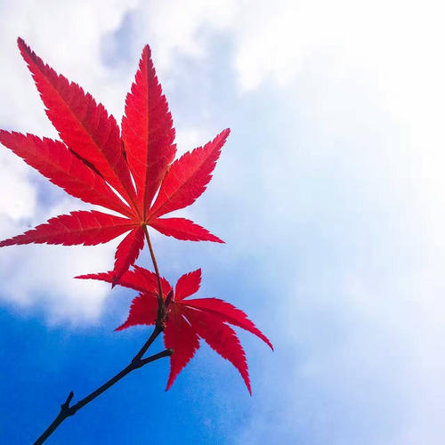 [寒假PK游戏]那一丝温暖_2000字