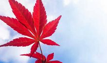 [寒假PK赛]那一抹温暖_2000字