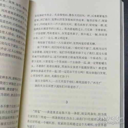 [2016年最终论文]阅读《三角地-一个年轻》后的思考_1000字