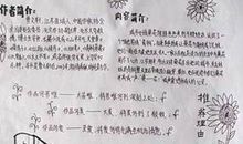 【读书札记】 摘抄《红楼梦》简介_250字
