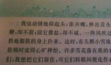 景色优美段落：池塘景色段落_600字