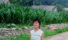 我渴望得到那一份温暖_550字