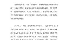 被温暖照亮_800字