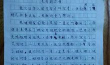 关于团结的作文：团结的力量_1200字