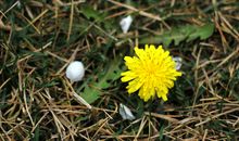 温暖的回忆_750字