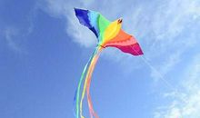 泪花的光芒_400字