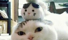 四个傻子一台戏（开学喽）_400字