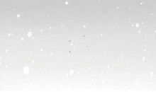 高二诗歌：高中怀想_100字