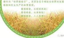 爱粮食节粮_300字