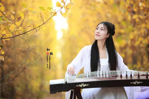 高中二首诗：高中杂念_100字