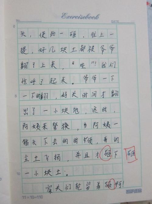 作文第一天的第一天：我的家人_900字