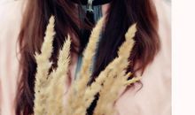 高二诗歌：致青春_400字