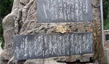 高二诗歌：夜_150字