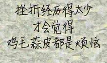 我经历的一次小挫折_900字