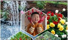 我在幸福中成长_700字