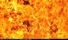 我是一团火_550字