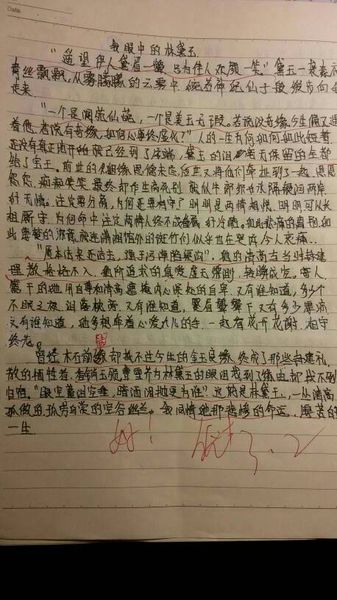 大学生对“红楼梦”的思考_1000字