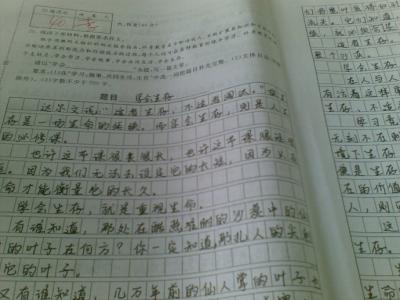 这是我-关于我的作文