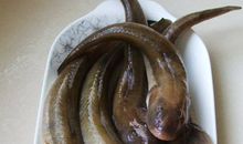 从此，向老师低头_550字