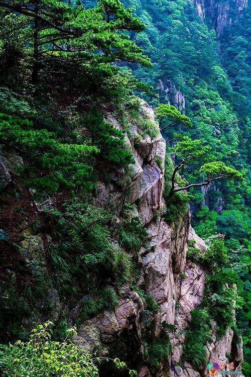 黄山旅游笔记_1000字